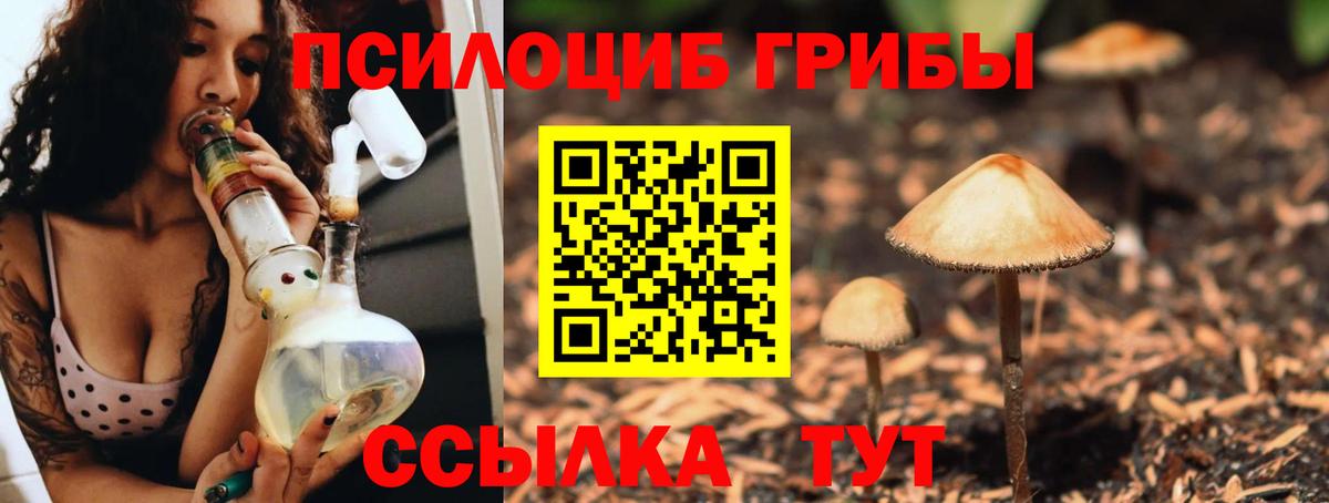 Псилоцибиновые грибы Psilocybine cubensis  Псилоцибиновые грибы GOLDEN TEACHER  Вход с VPN  Серпухов 